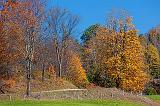 Autumn Backroad_23609